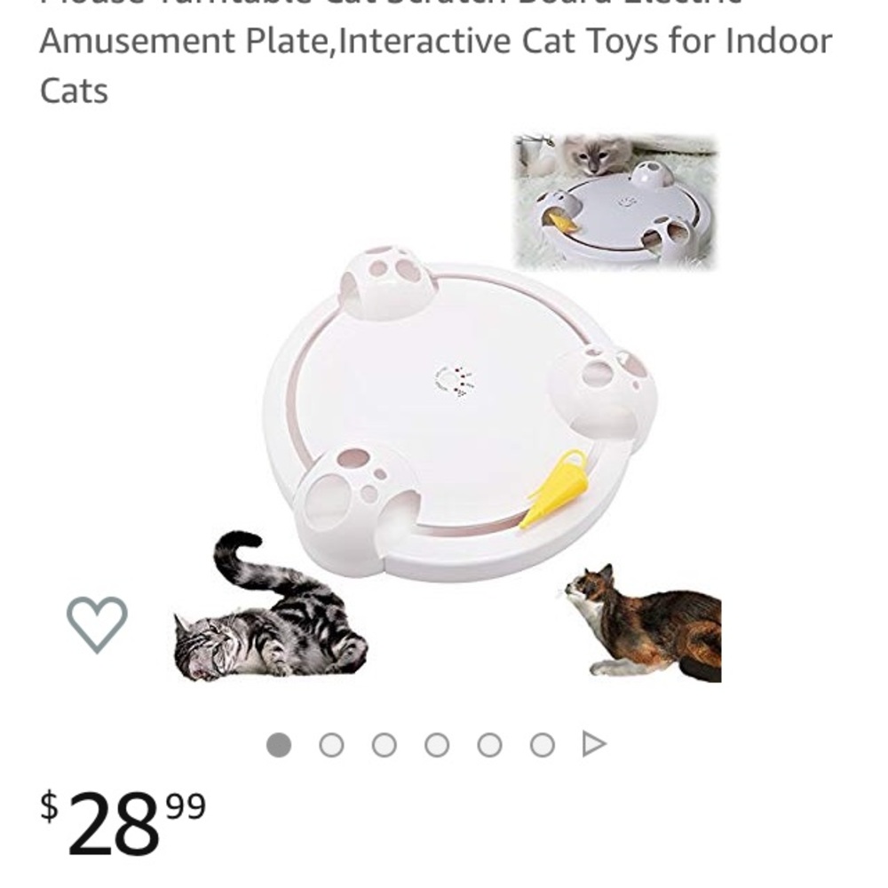Cat toy